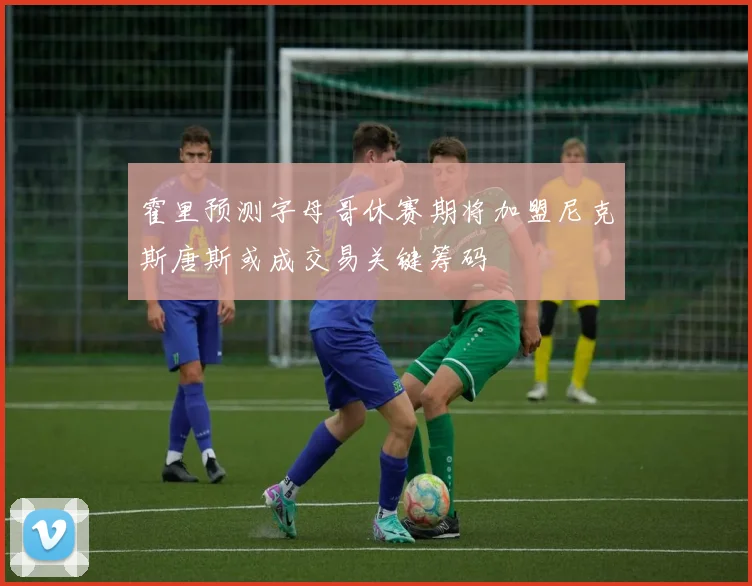 霍里预测字母哥休赛期将加盟尼克斯唐斯或成交易关键筹码