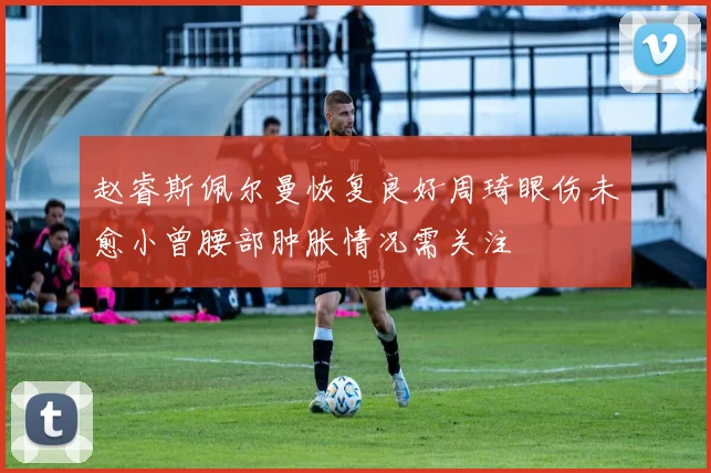 赵睿斯佩尔曼恢复良好周琦眼伤未愈小曾腰部肿胀情况需关注